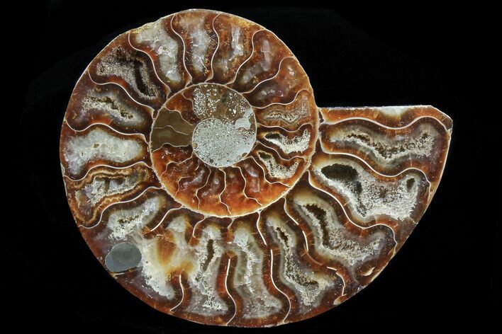 Agatized Ammonite Fossil (Half) #78406